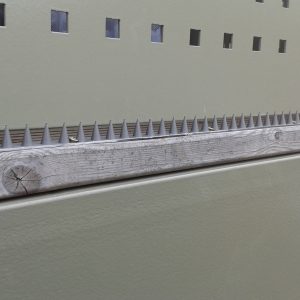 20150610_110744