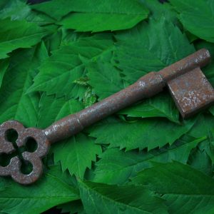 Vintage key